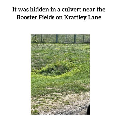 2021 Pepper Fest Location