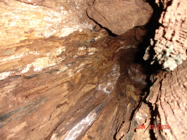 2008 Hunting