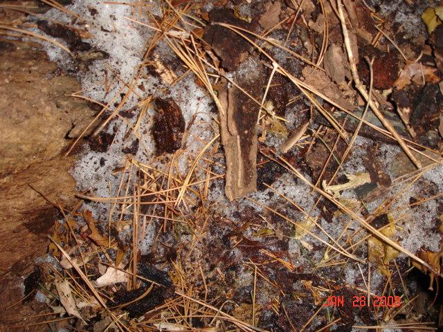 2008 Hunting