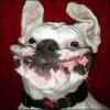 Profile picture for user The Great Beast