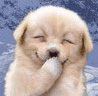 Profile picture for user Sue